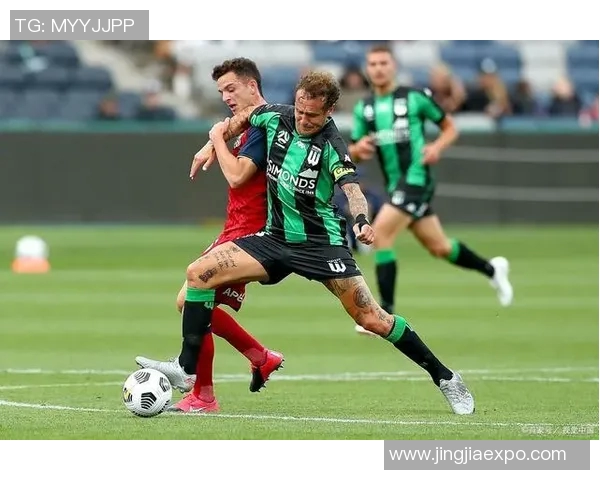 霍芬海姆官方宣布签下新外援，实力加强阵容实力再添新成员！