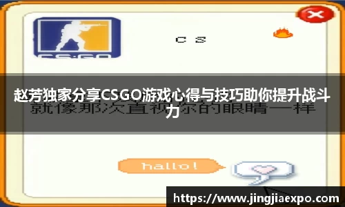 赵芳独家分享CSGO游戏心得与技巧助你提升战斗力