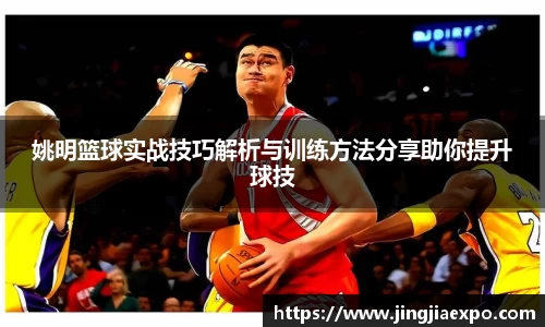 易倍emc体育网页版